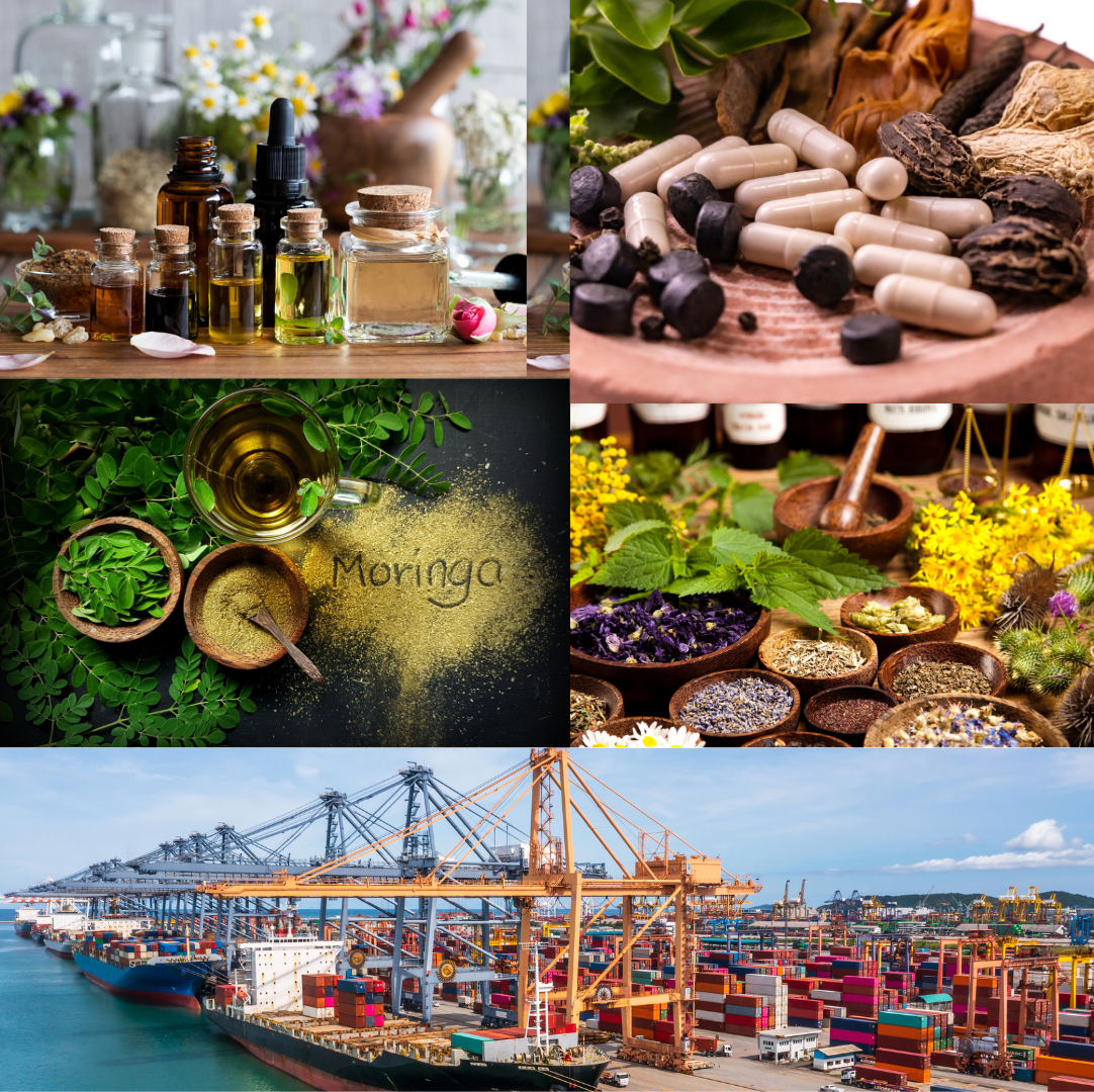 Wellness Products